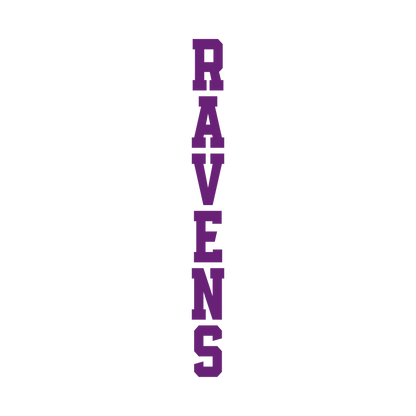 RAVENS SVG BUNDLE-02