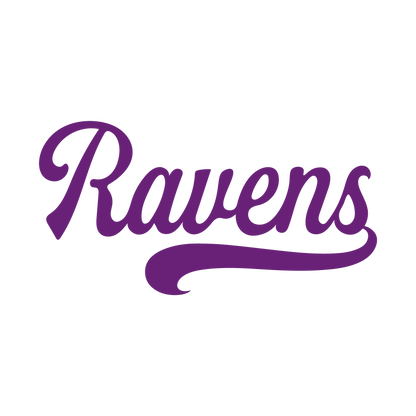 RAVENS SVG BUNDLE-07