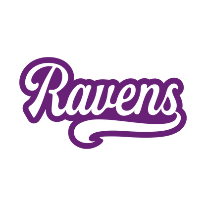 RAVENS SVG BUNDLE-10